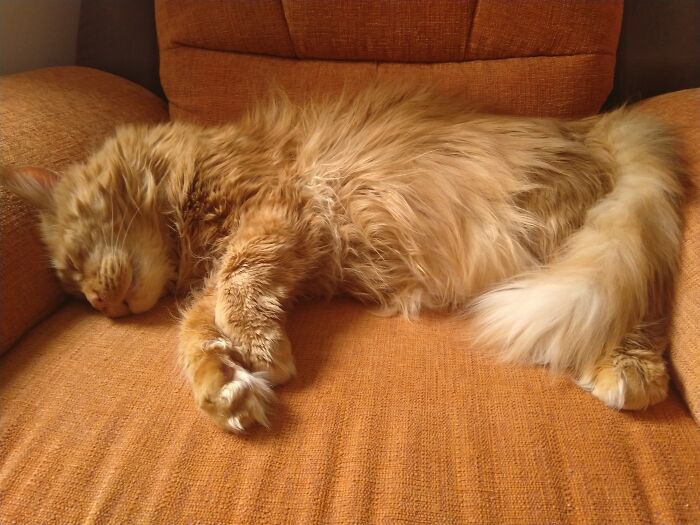 Gary, The Majesty ^^