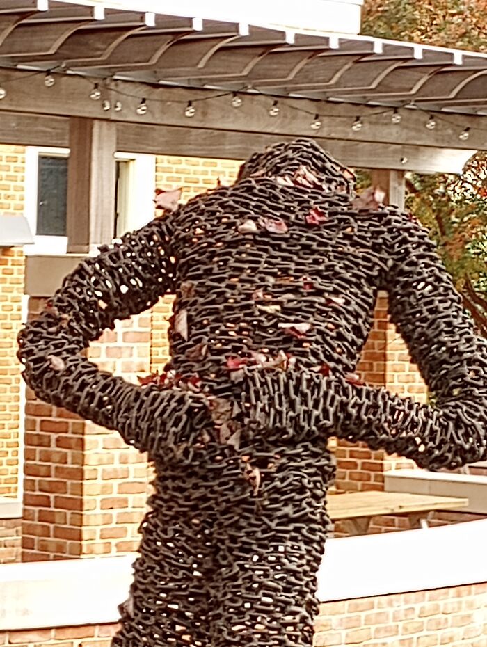 I Took Like 20 Photos Of These Guys