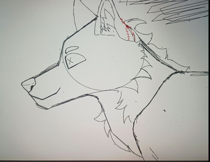 An Outline Of A Wolf That I Still Haven't Found The Motivation To Complete Yet. 🫠