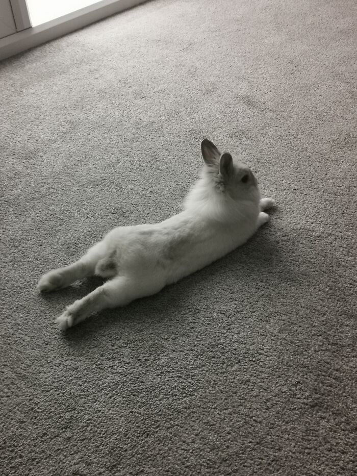 Some Days Just Feel Like This