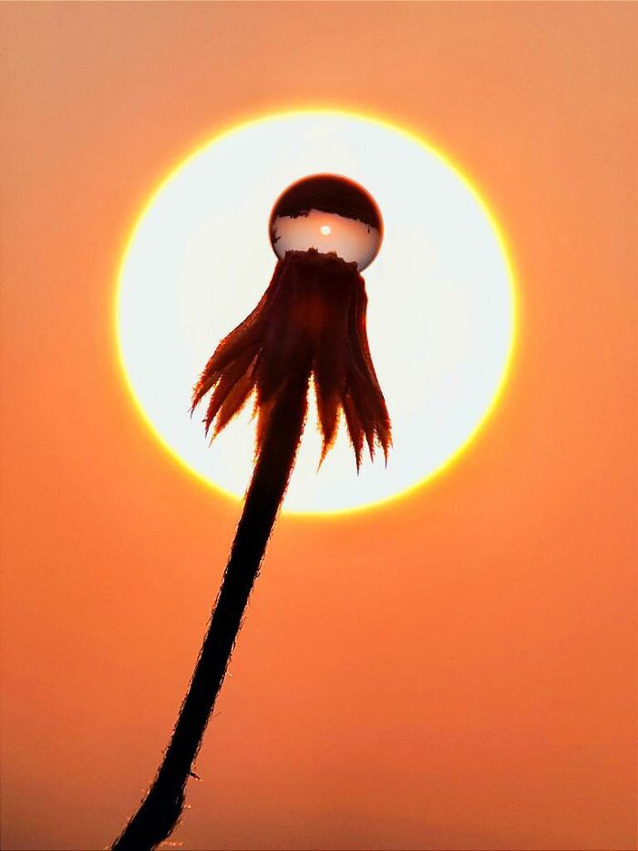 Golden Hour Gems: Aaditya Shrirang Bhat's Stunning Sunset Photo Stories