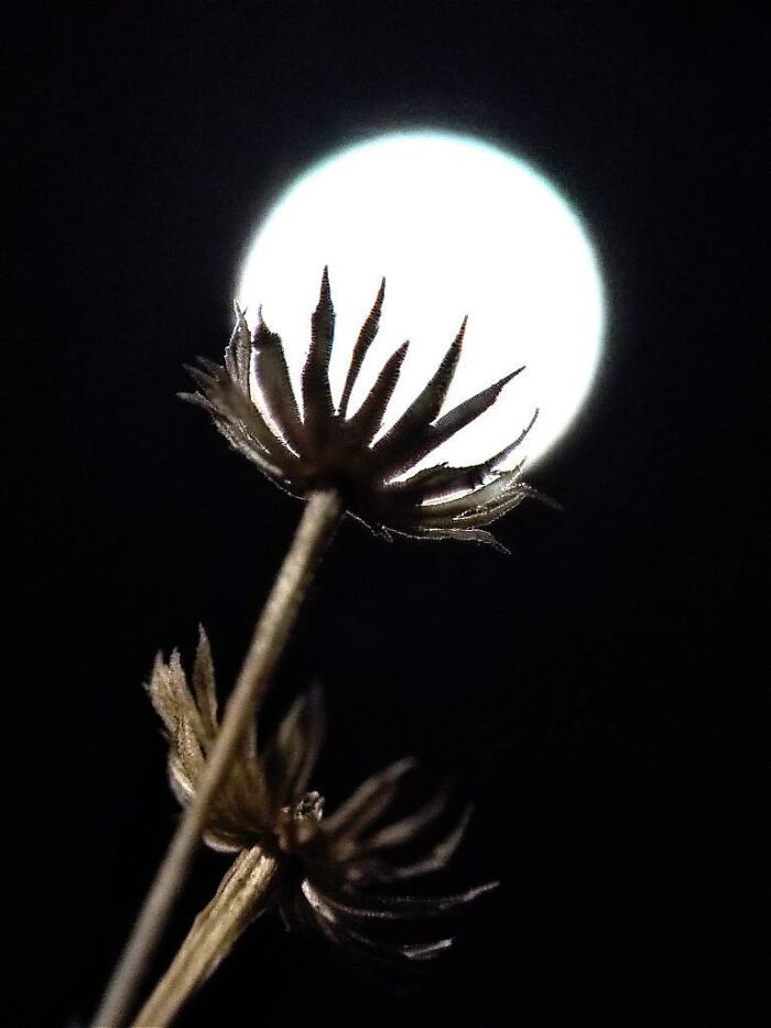 Golden Hour Gems: Aaditya Shrirang Bhat's Stunning Sunset Photo Stories