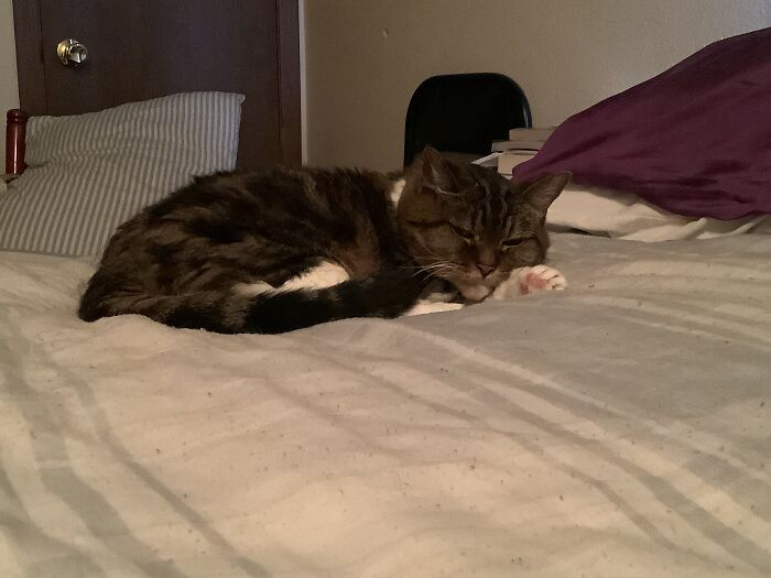 My Family’s 20 Year Old Girl Taking A Nap