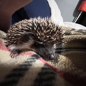 chrismantwbryson avatar