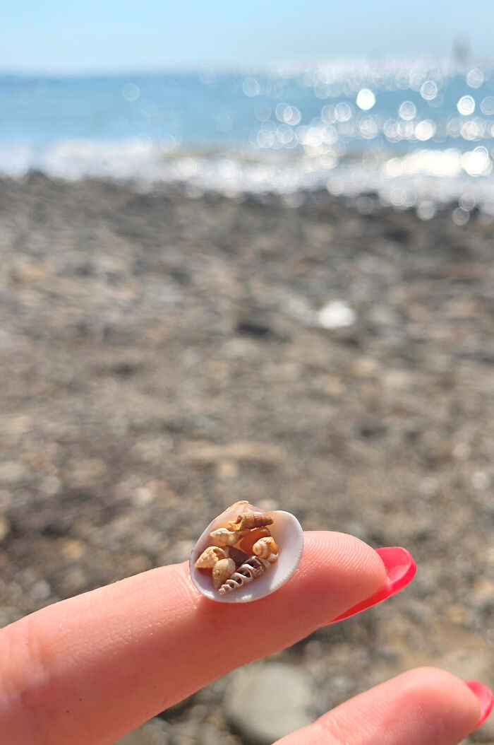 I Made Jewellery Using Shells From An Enchanting Beach