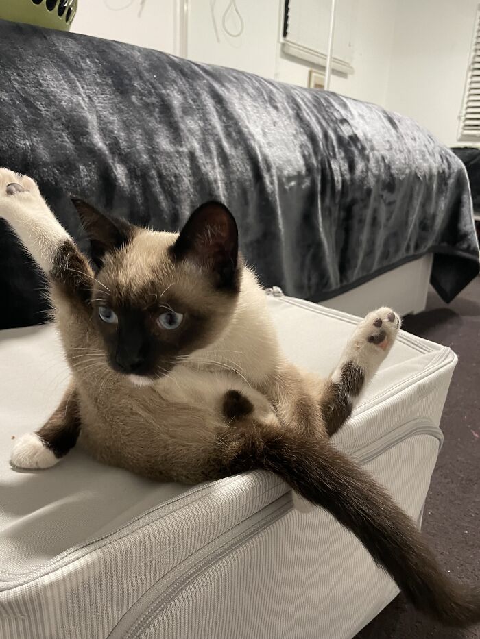 You Never Know When That Existential Crisis Gonna Hit Ya