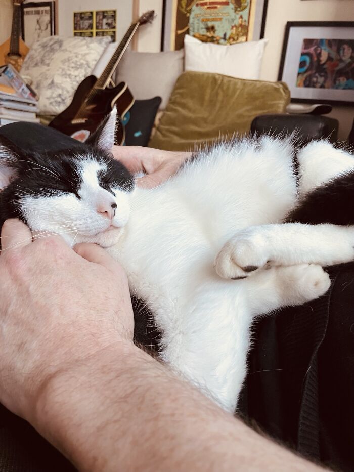 My Boy Vic Being A Sweet Fella