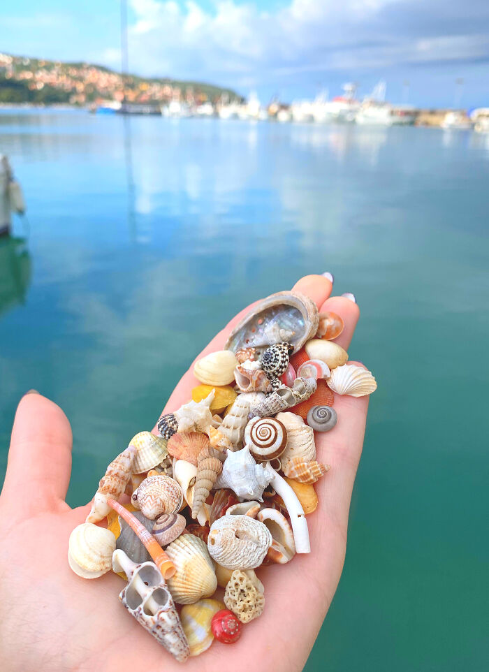 I Made Jewellery Using Shells From An Enchanting Beach