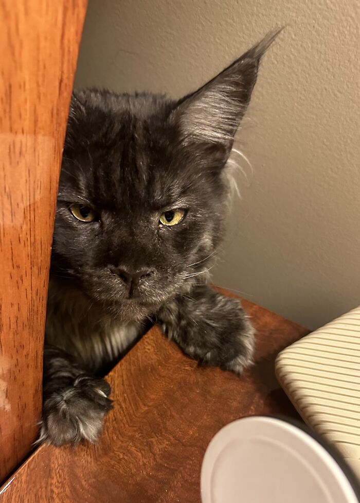 The Monster Behind The Bed…