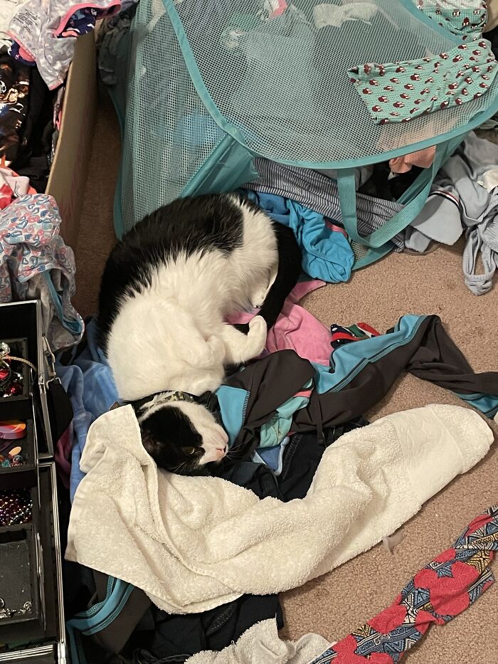 Why Do You Do This?!?!