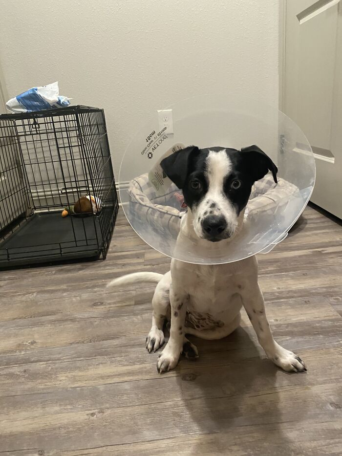 Sweet Tammie Just Had Tummy Surgery