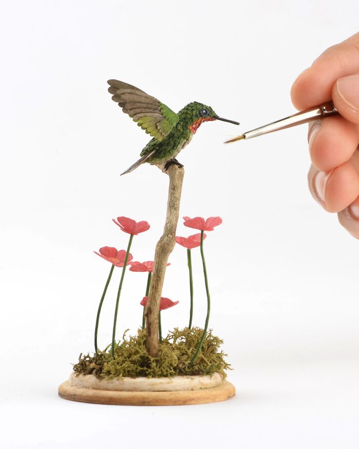 Ruby Throated Hummingbird