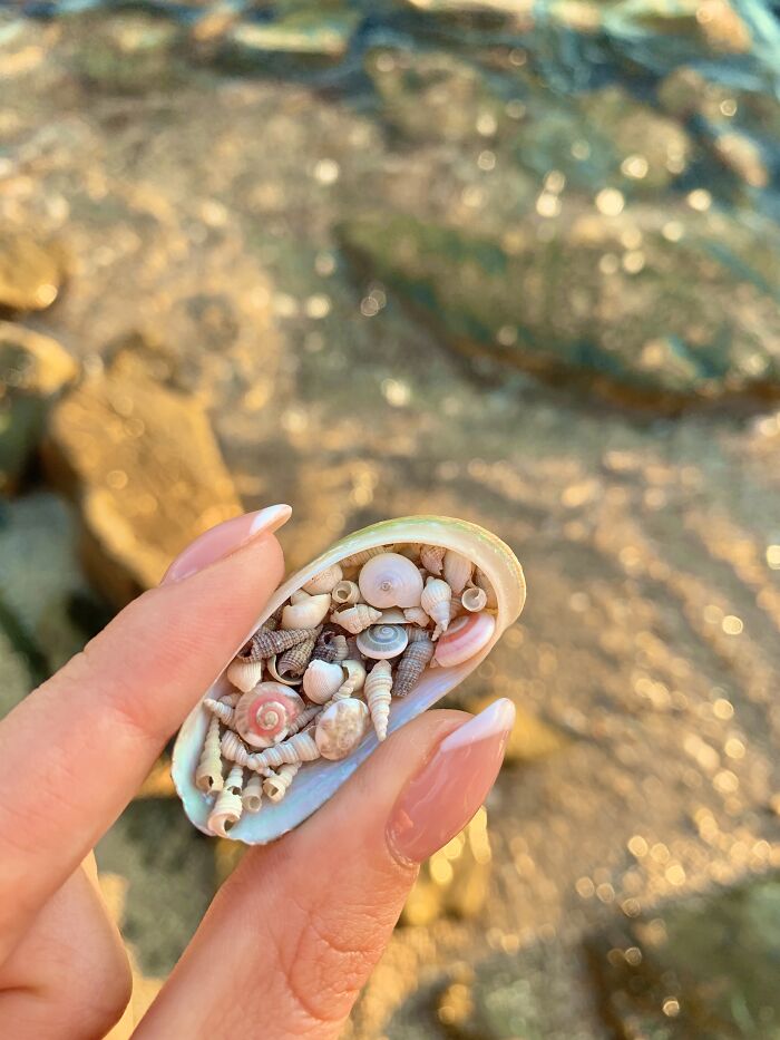 I Made Jewellery Using Shells From An Enchanting Beach