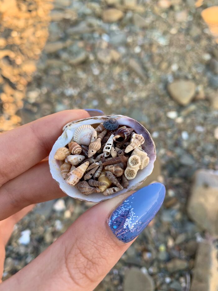 I Made Jewellery Using Shells From An Enchanting Beach