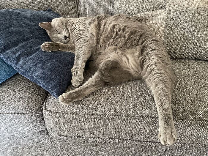 Gracie Sitting Like A Lady