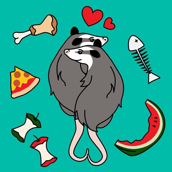 Illustrations By Adela Madej