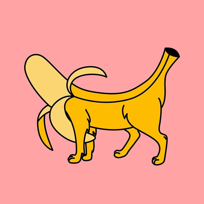 Illustrations By Adela Madej