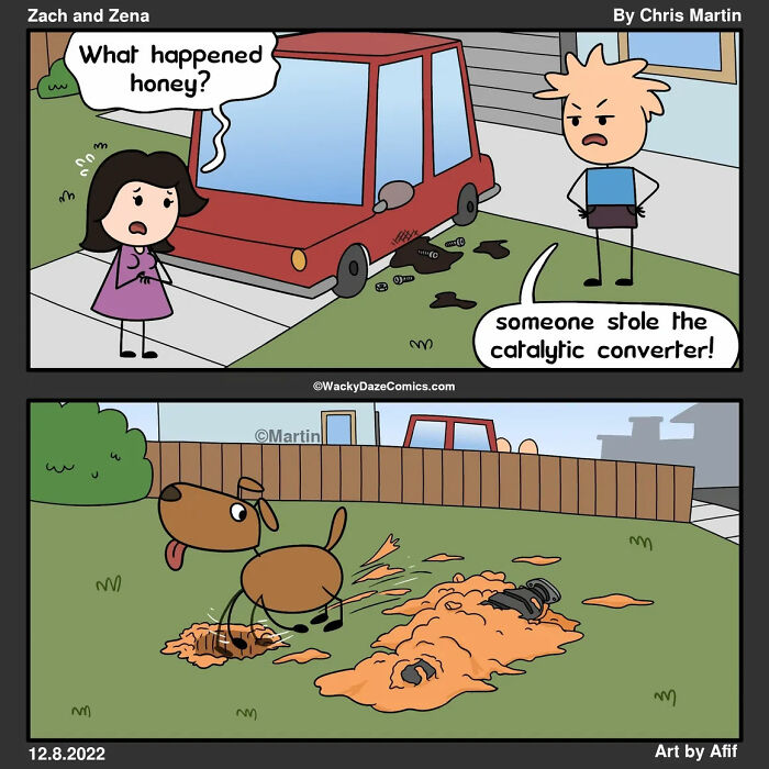 Introducing My "Zach And Zena" Cartoons