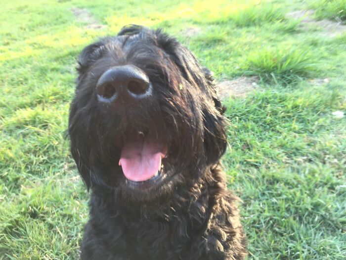 My Jc - The Bestest Of The Good Bois......gone But Never Forgotten