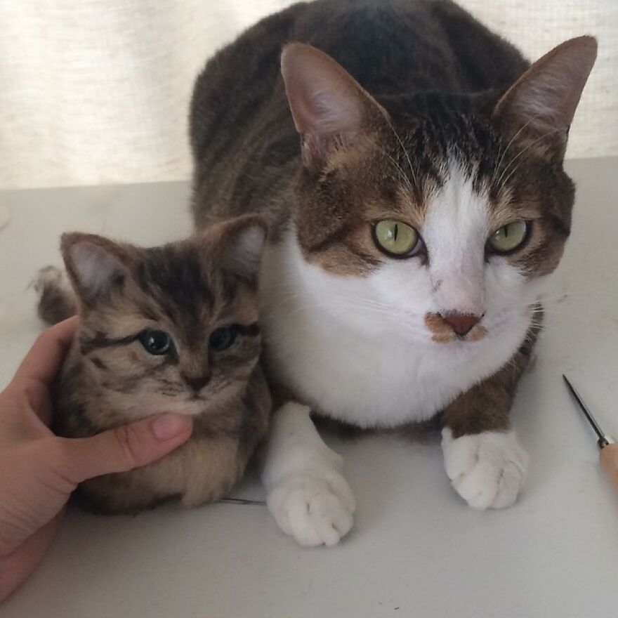 Japanese Artist Creates Cute, Realistic Cats With Felted Wool (Interview)