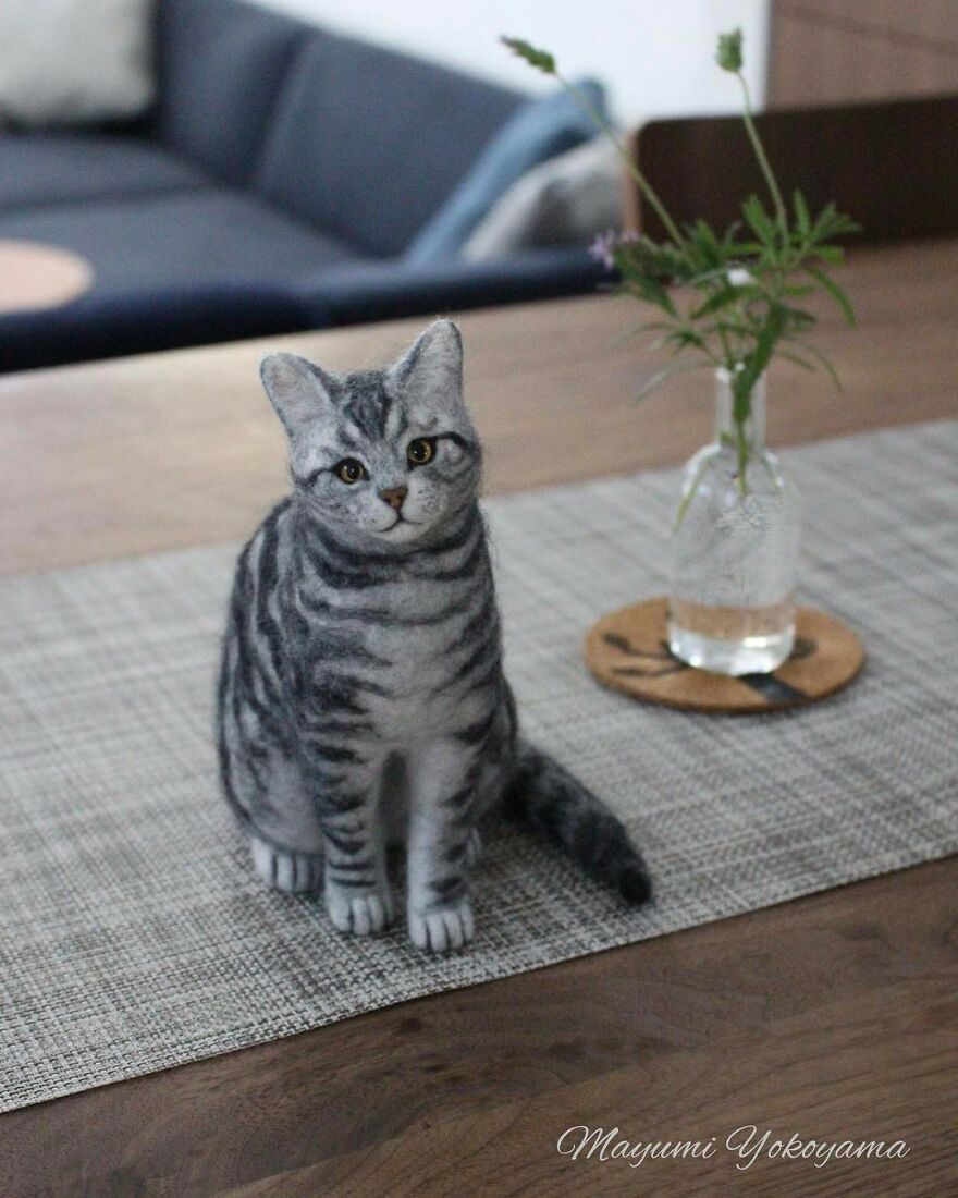 Japanese Artist Creates Cute, Realistic Cats With Felted Wool (Interview)