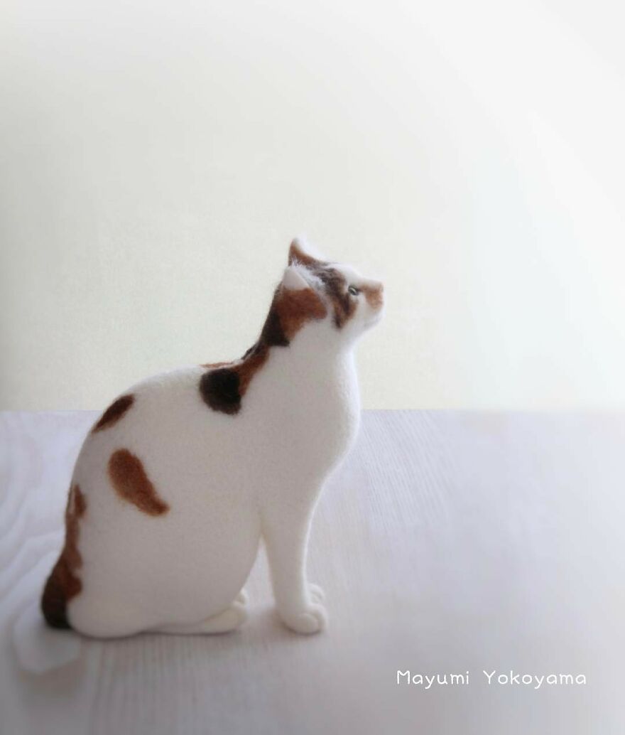 Japanese Artist Creates Cute, Realistic Cats With Felted Wool (Interview)