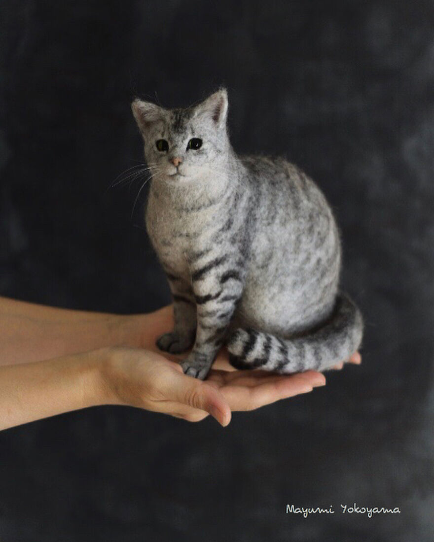 Japanese Artist Creates Cute, Realistic Cats With Felted Wool (Interview)