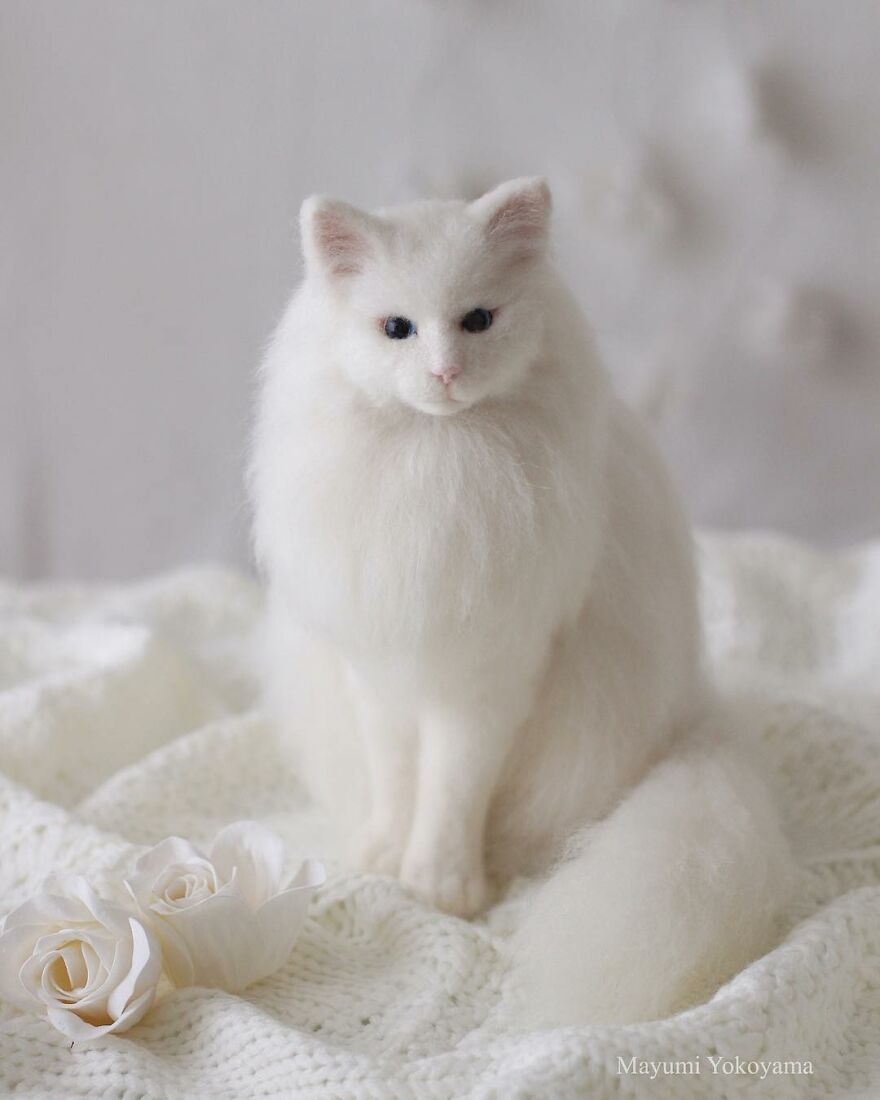 Japanese Artist Creates Cute, Realistic Cats With Felted Wool (Interview)