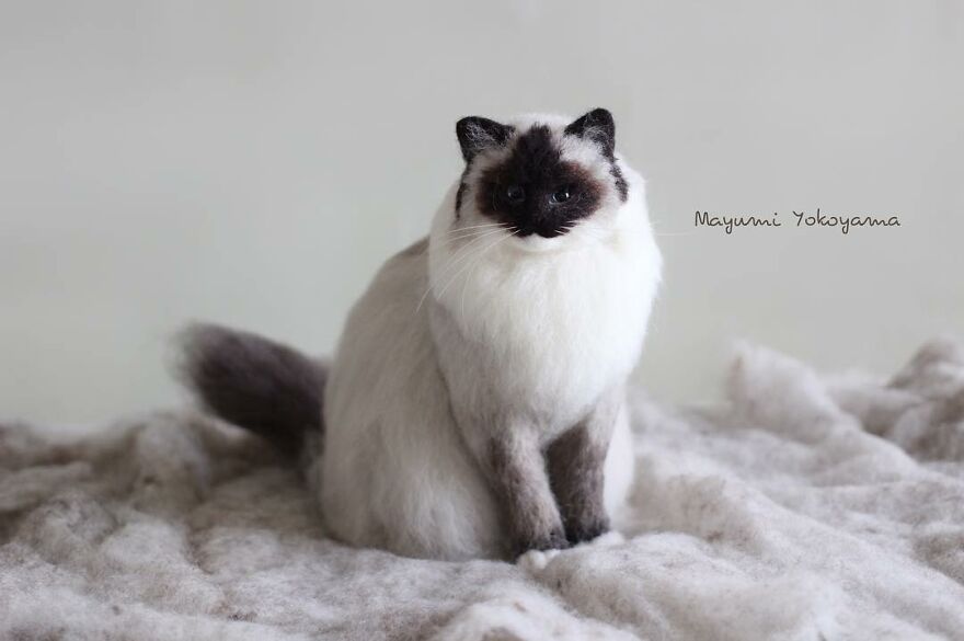 Japanese Artist Creates Cute, Realistic Cats With Felted Wool (Interview)