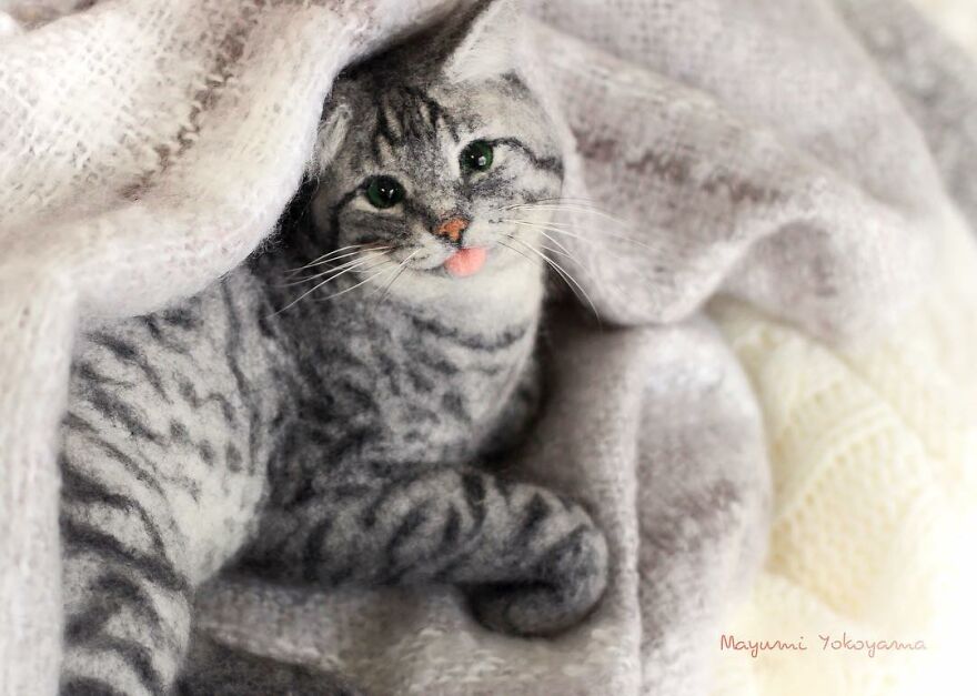 Japanese Artist Creates Cute, Realistic Cats With Felted Wool (Interview)