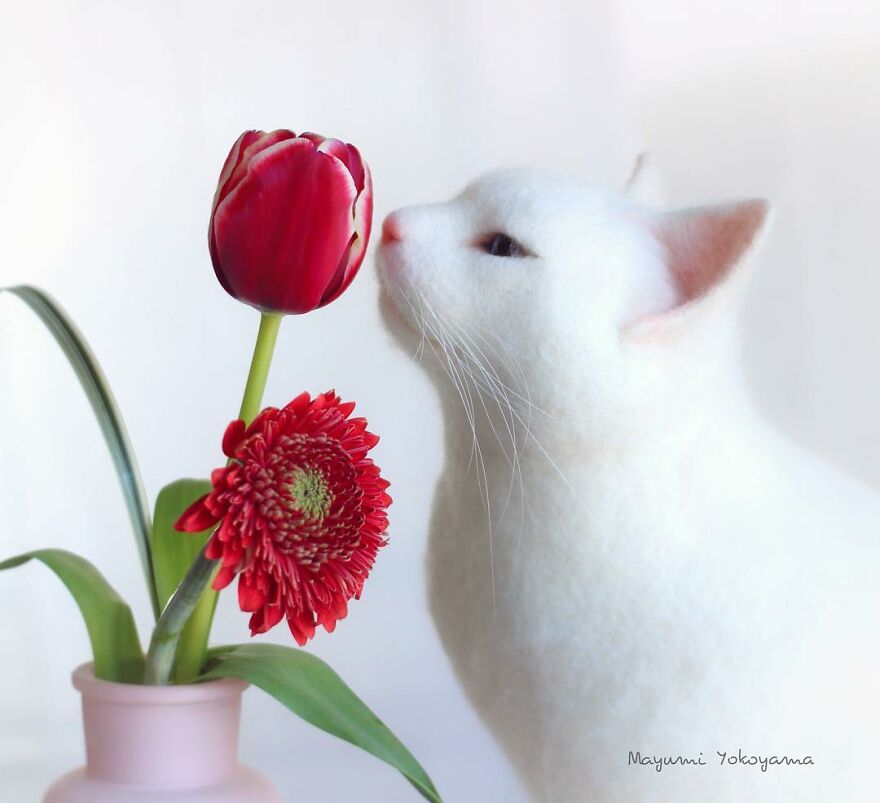 Japanese Artist Creates Cute, Realistic Cats With Felted Wool (Interview)