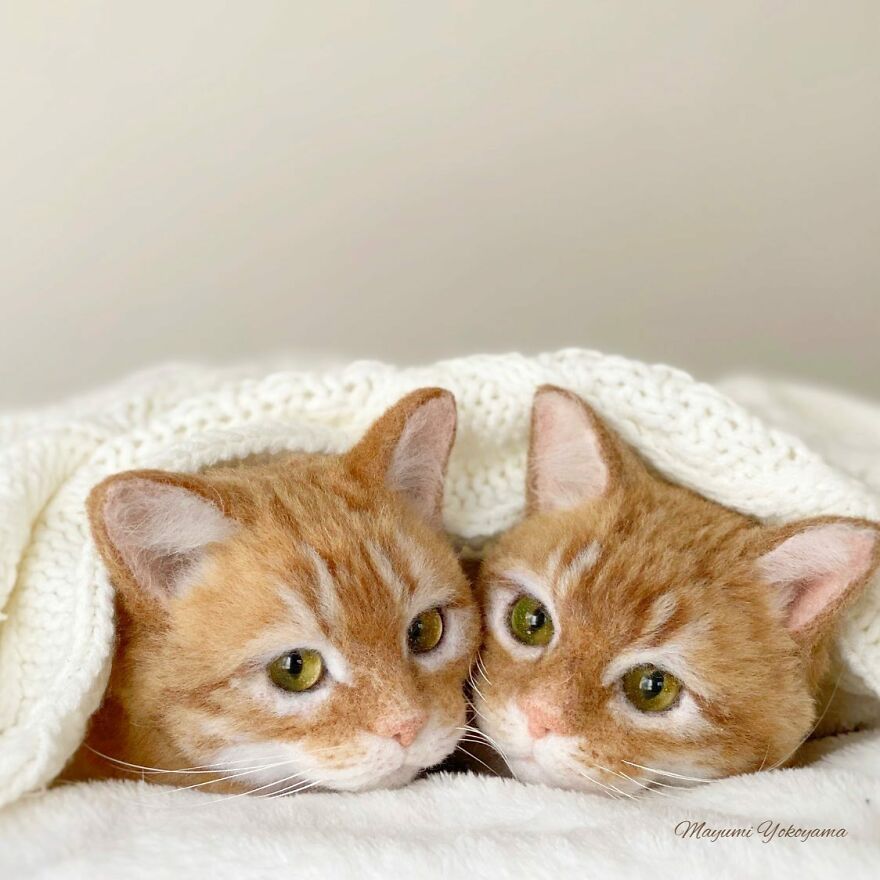 Japanese Artist Creates Cute, Realistic Cats With Felted Wool (Interview)