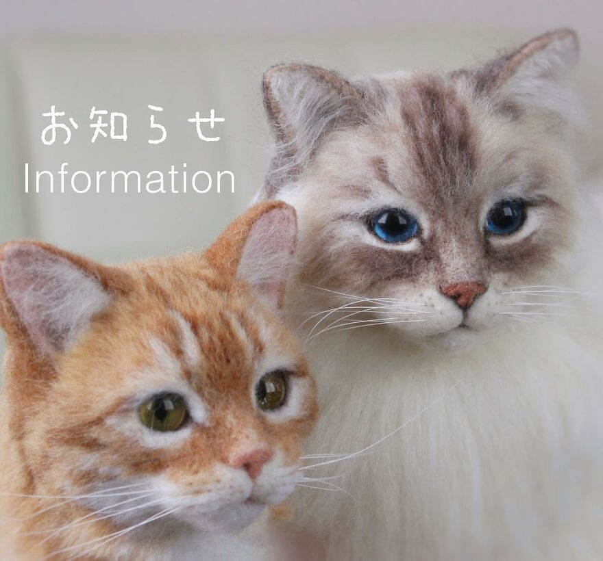 Japanese Artist Creates Cute, Realistic Cats With Felted Wool (Interview)