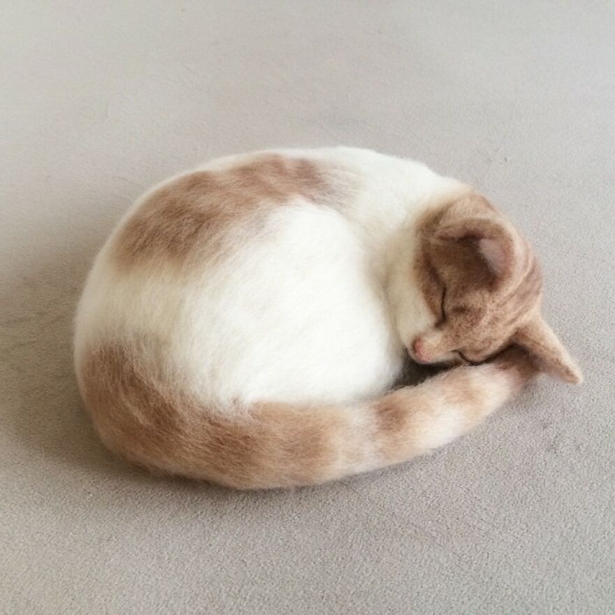 Japanese Artist Creates Cute, Realistic Cats With Felted Wool (Interview)