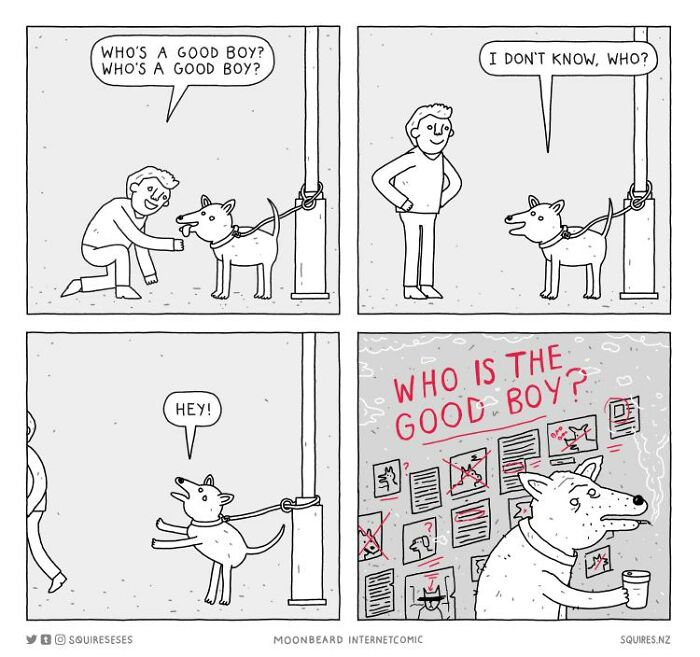 Laugh Out Loud With Squireses' Quirky Comics