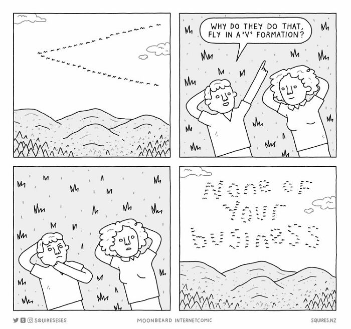 Laugh Out Loud With Squireses' Quirky Comics