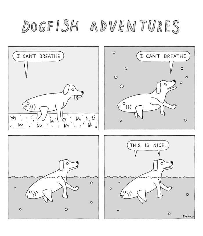 Laugh Out Loud With Squireses' Quirky Comics