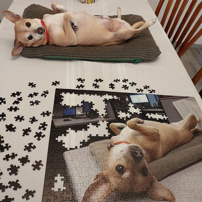 Piece Together Precious Moments: A Custom Photo Puzzle - Tell Your Story With Every Piece!