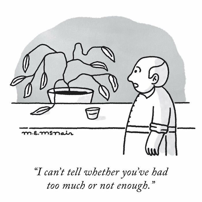 Elisabeth Mcnair's Humorous Single-Panel Comic