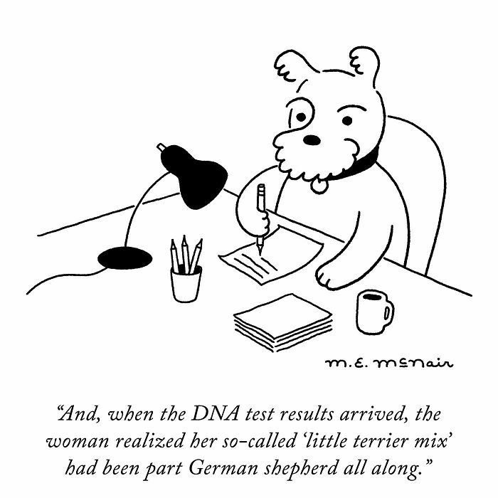 Elisabeth Mcnair's Humorous Single-Panel Comic