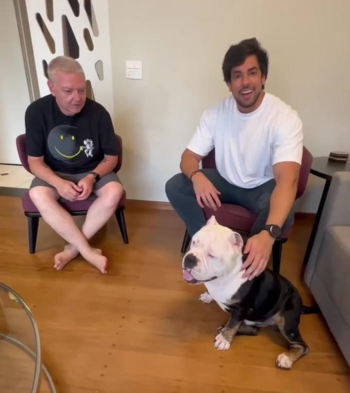 Remarkable Recovery Story Of A Resilient Dog That Was In Desperate Need Of Rescue