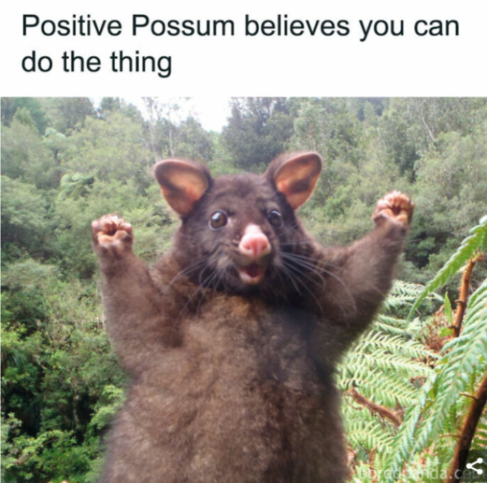 40 Memes I Have From Bored Panda That May Tickle Your Funny Bone.