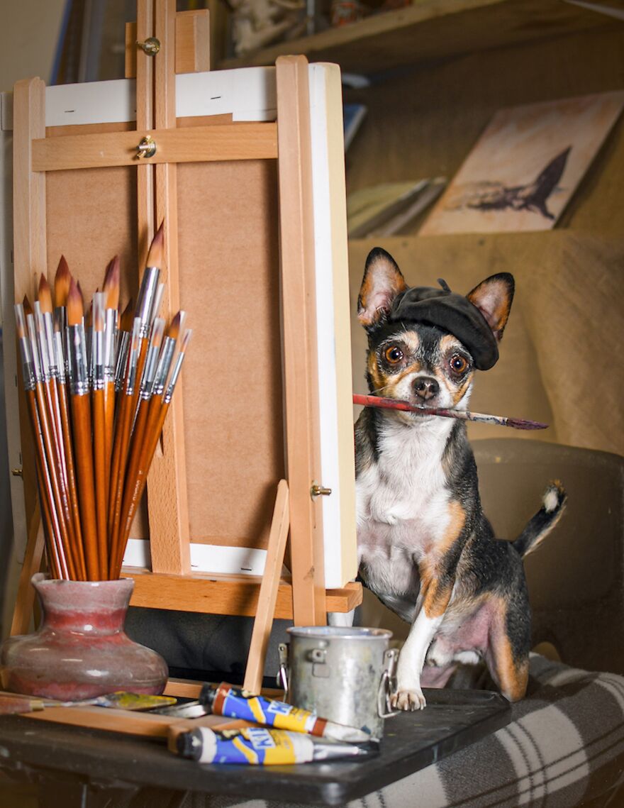 I Photographed 50 Dogs And Photoshopped Them Into Their Alter Egos. Here Are 15 Of My Favorites.