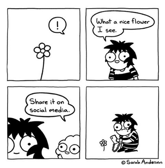 New Relatable Sarah Andersen Comics Will Surely Giggle You