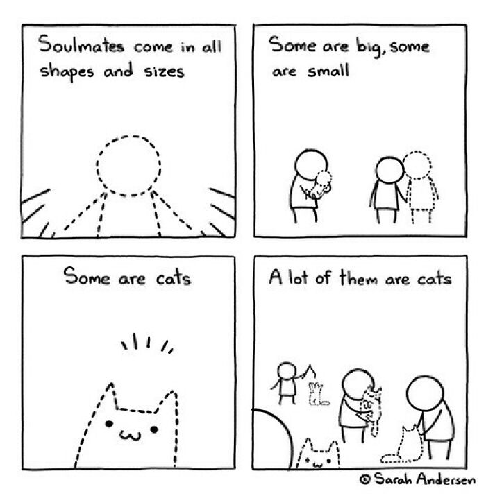 New Relatable Sarah Andersen Comics Will Surely Giggle You