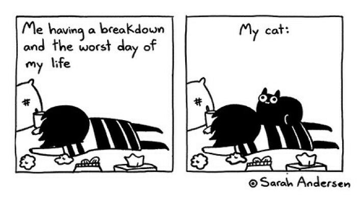 New Relatable Sarah Andersen Comics Will Surely Giggle You