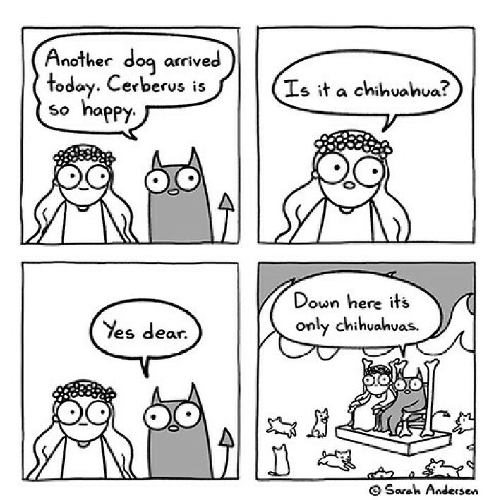 New Relatable Sarah Andersen Comics Will Surely Giggle You