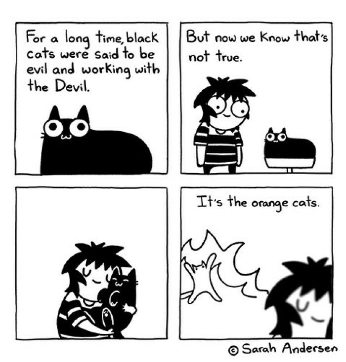 New Relatable Sarah Andersen Comics Will Surely Giggle You
