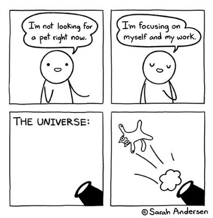 New Relatable Sarah Andersen Comics Will Surely Giggle You