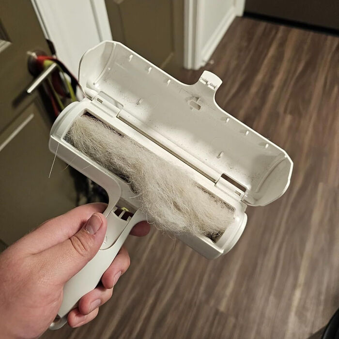 Say Goodbye To Pet Hair Woes: The Ultimate Fur & Lint Remover For Big Dog Owners!